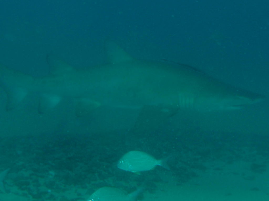 3c139749-a672-4a0d-bb49-a69853440823