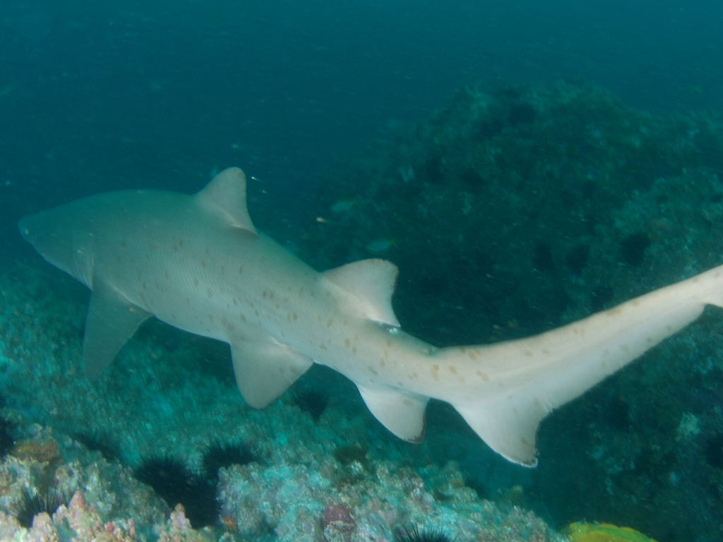 720ff60c-b308-4de3-a2f4-250e76dac6dd