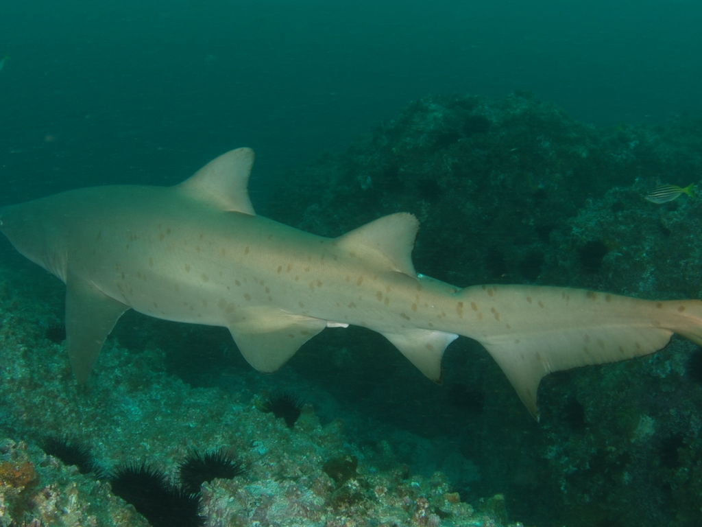 720ff60c-b308-4de3-a2f4-250e76dac6dd