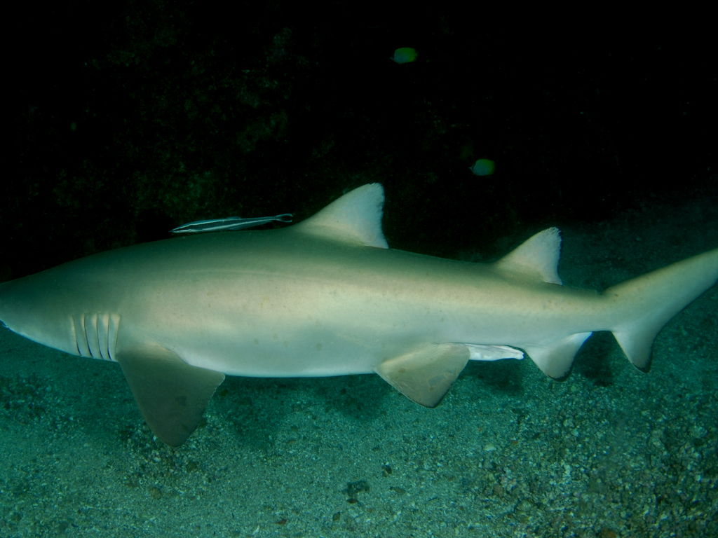 c5272881-a2b0-4479-994e-09ca94bb0a60