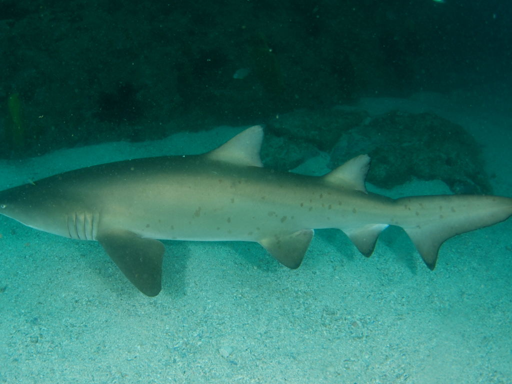 8e1c6827-6224-490c-b4b3-e23cd4a9e371