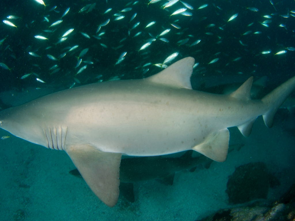 82a5db5c-7da6-48a5-8107-738fc8ef7b7c