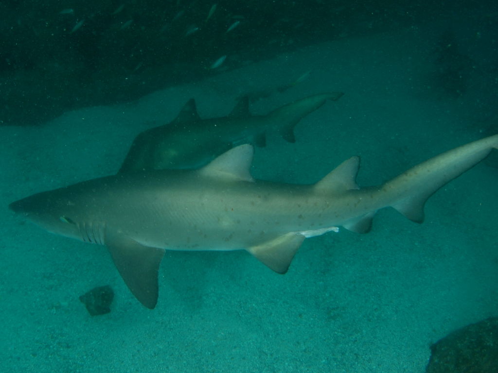 05321bc7-e7e2-4c24-84b4-dfa8294bbc0c