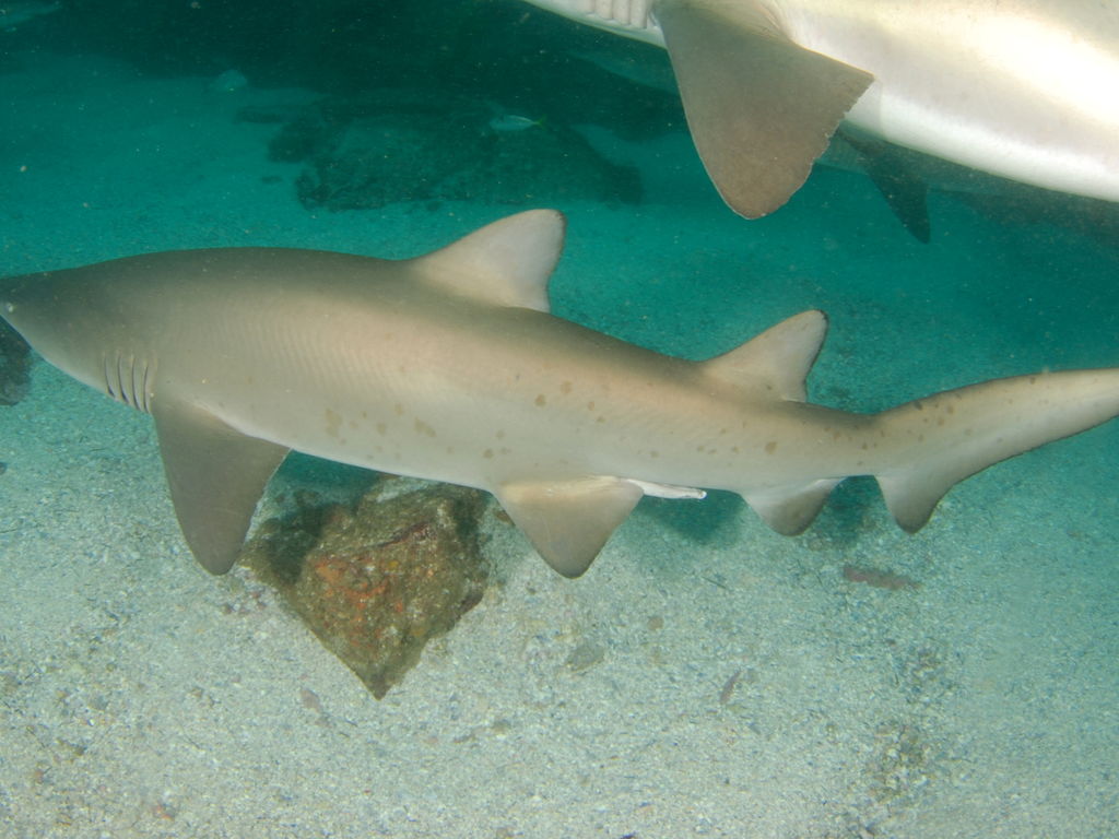 6a3effed-f081-4c57-a254-3ff68fa62a6c