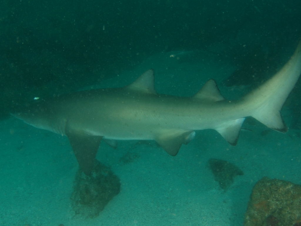 3f8923f8-7774-4b2d-9bd1-97d9a8cd635e