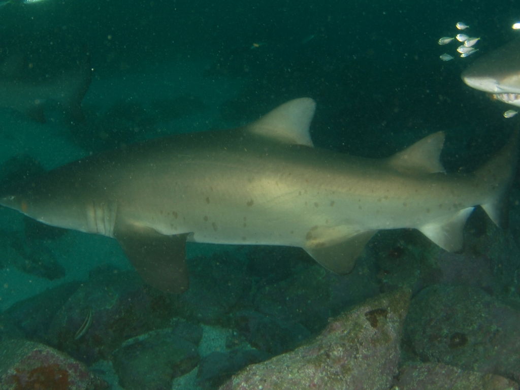 1f89151e-240c-454f-a365-2c555d093639