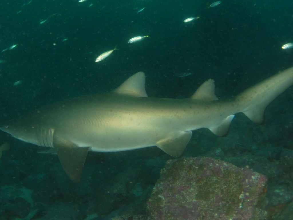 c24c170e-ed56-4976-84db-ecf964fd8575