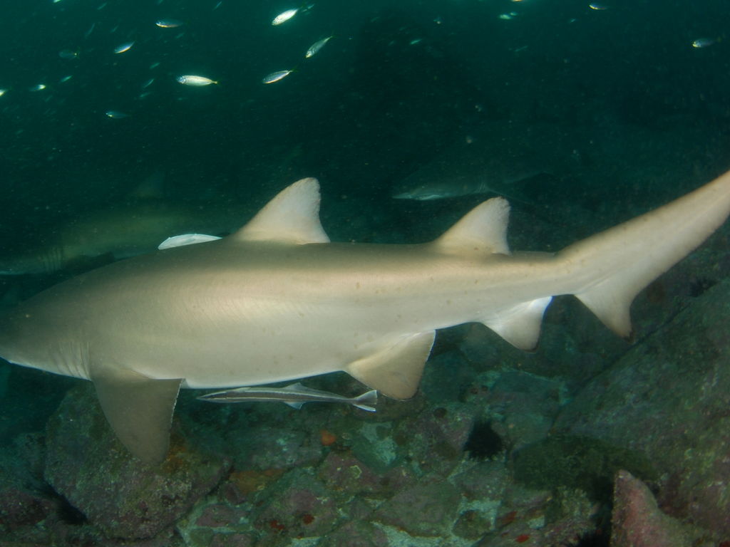 c09b9ce6-044d-494f-9d64-bb2396313b8f