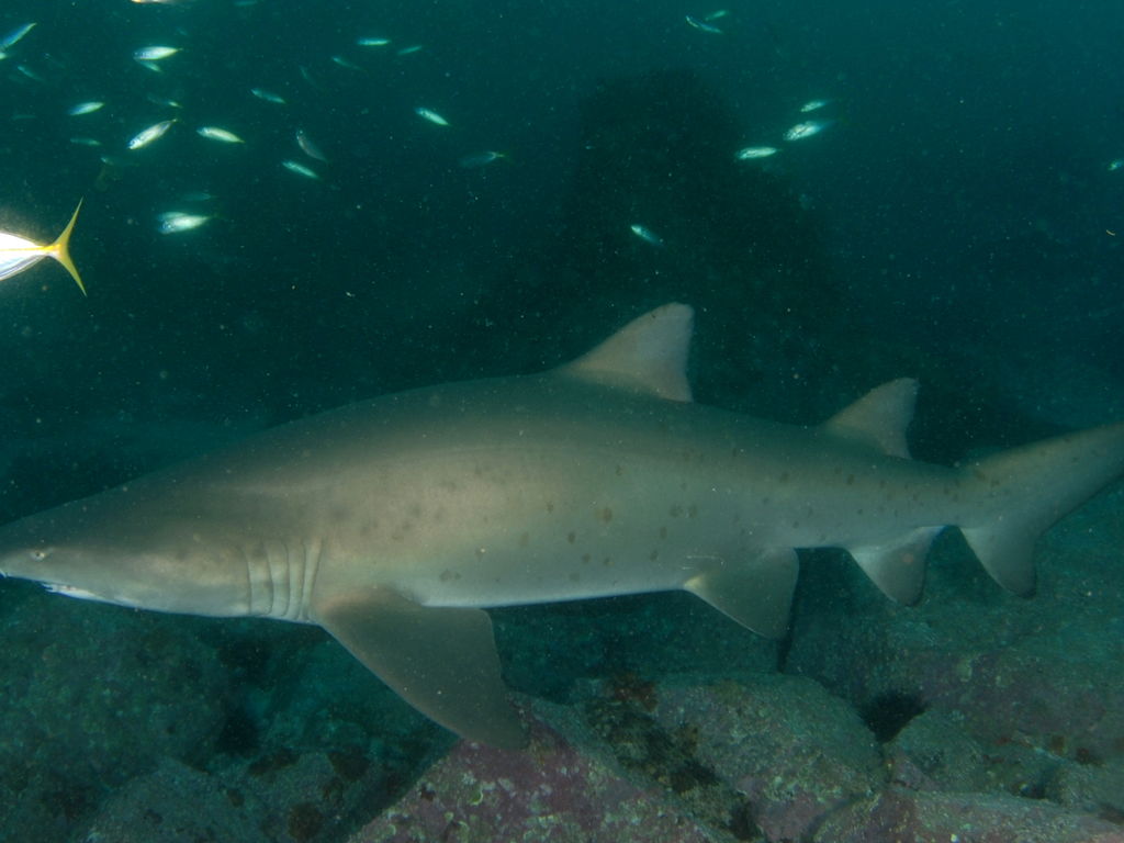 ec5ea22e-f42f-48a2-856f-639b2d30192a