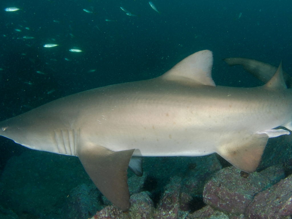 d8d02d42-a7dd-498b-9863-135d26444085