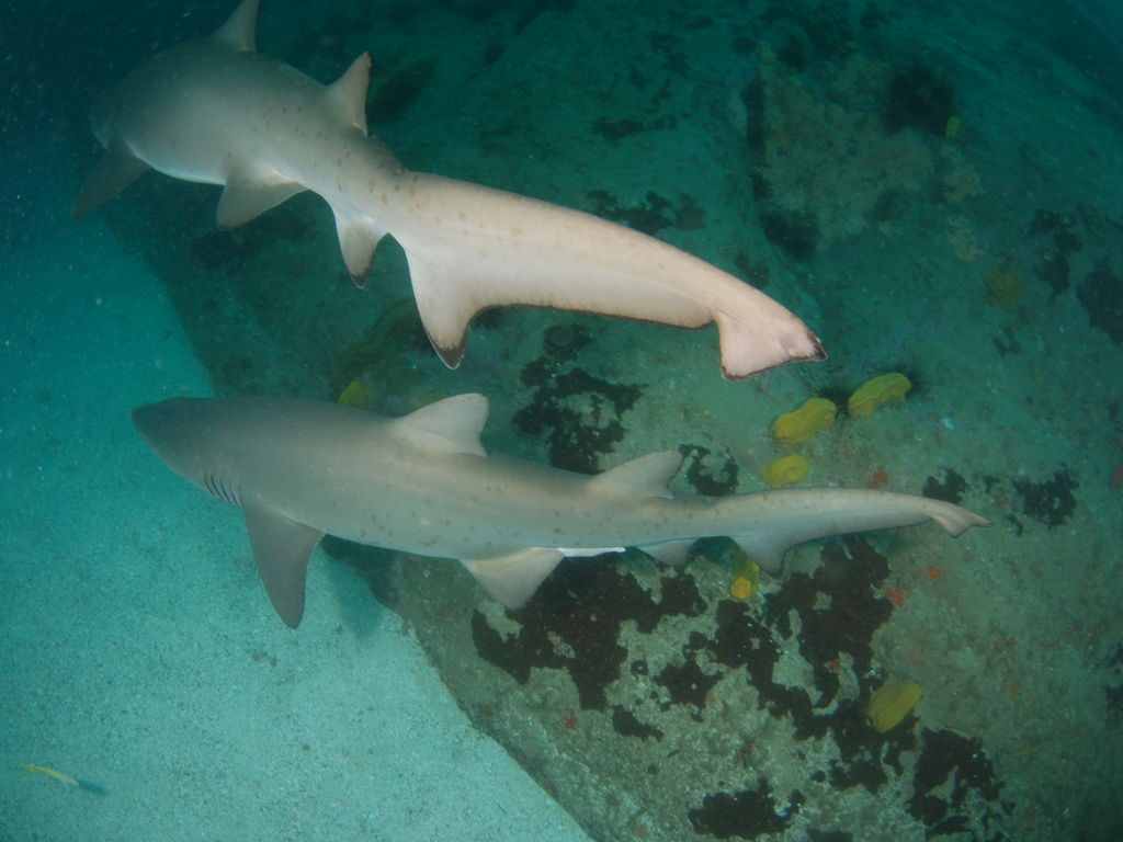 05321bc7-e7e2-4c24-84b4-dfa8294bbc0c