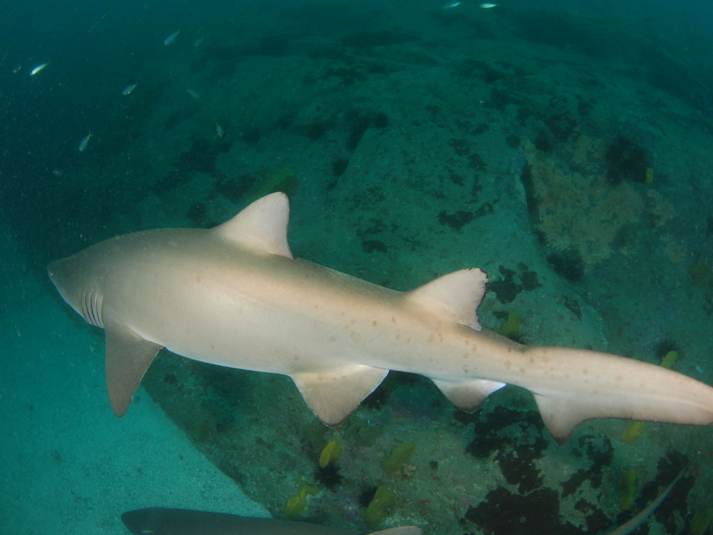 c24c170e-ed56-4976-84db-ecf964fd8575