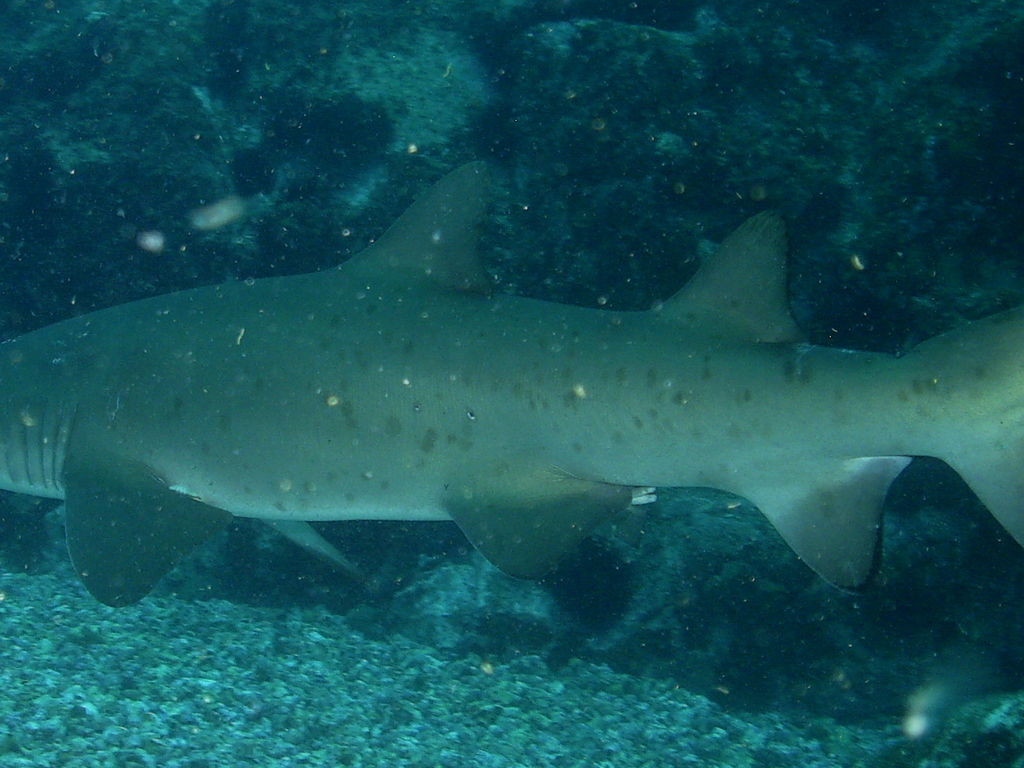 7509ce3c-e747-4fcb-ac7c-3cecee3f8ccd