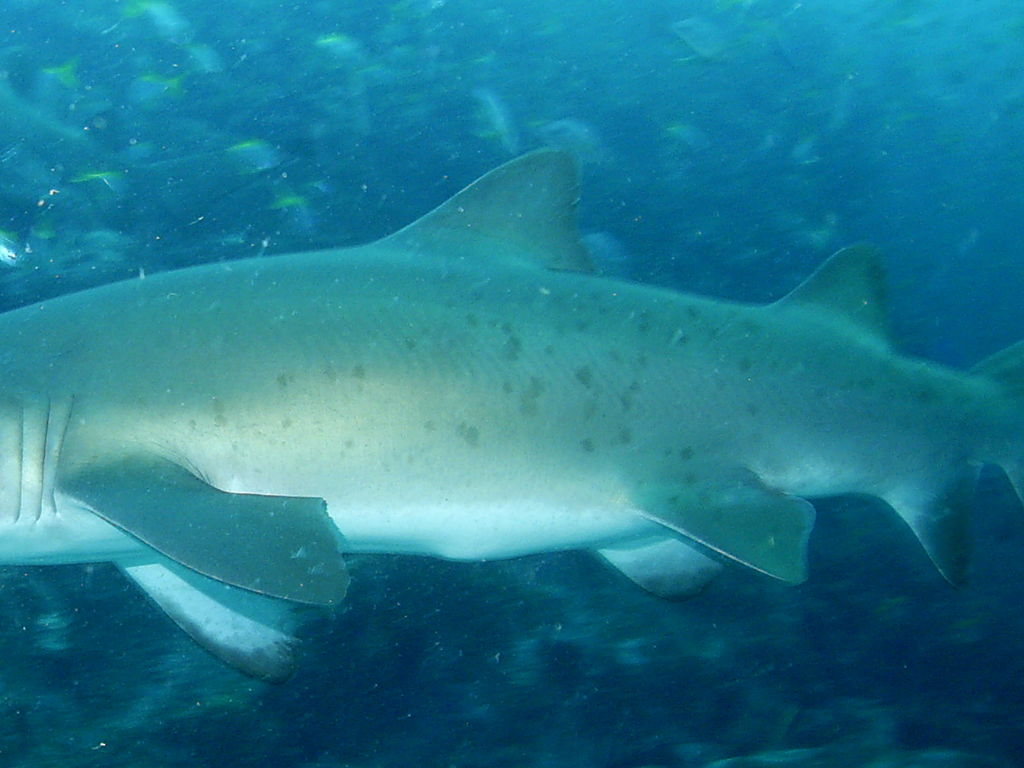 53bb033d-6ce8-43c8-bcb7-7fbd29488960