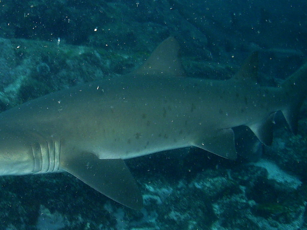 6406df9e-f628-41a9-9a33-09310a2622c8