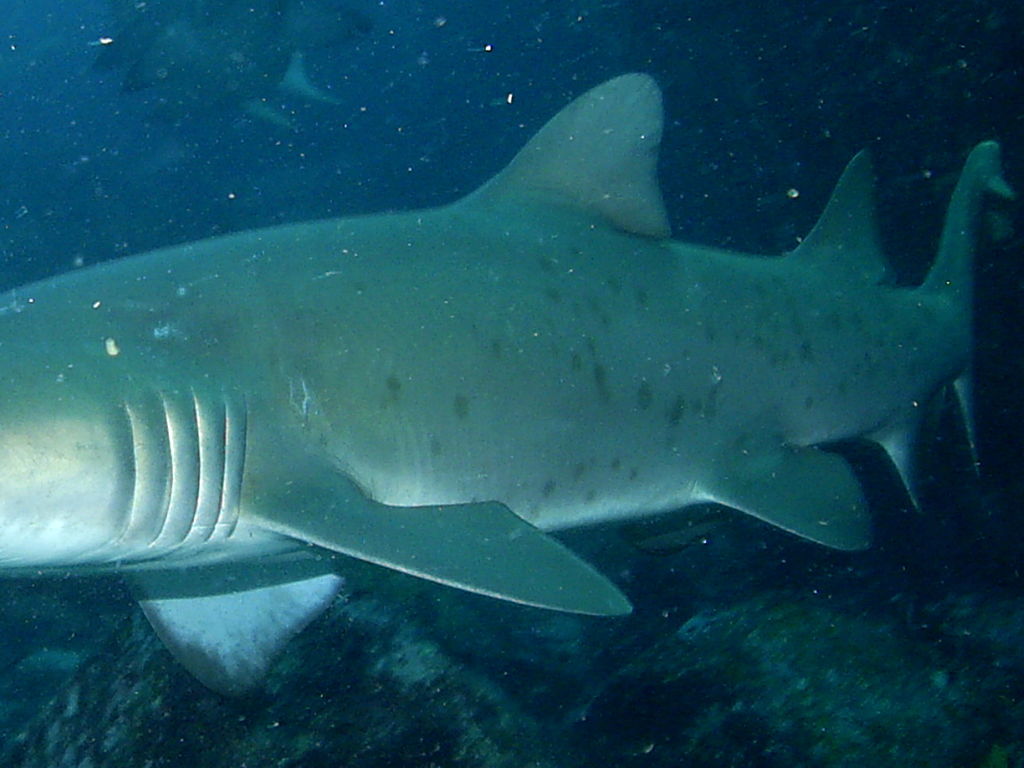 7509ce3c-e747-4fcb-ac7c-3cecee3f8ccd