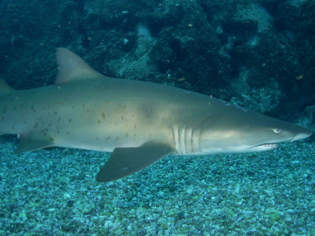 564d403a-bbf0-4508-8b53-0c3a33de83ec