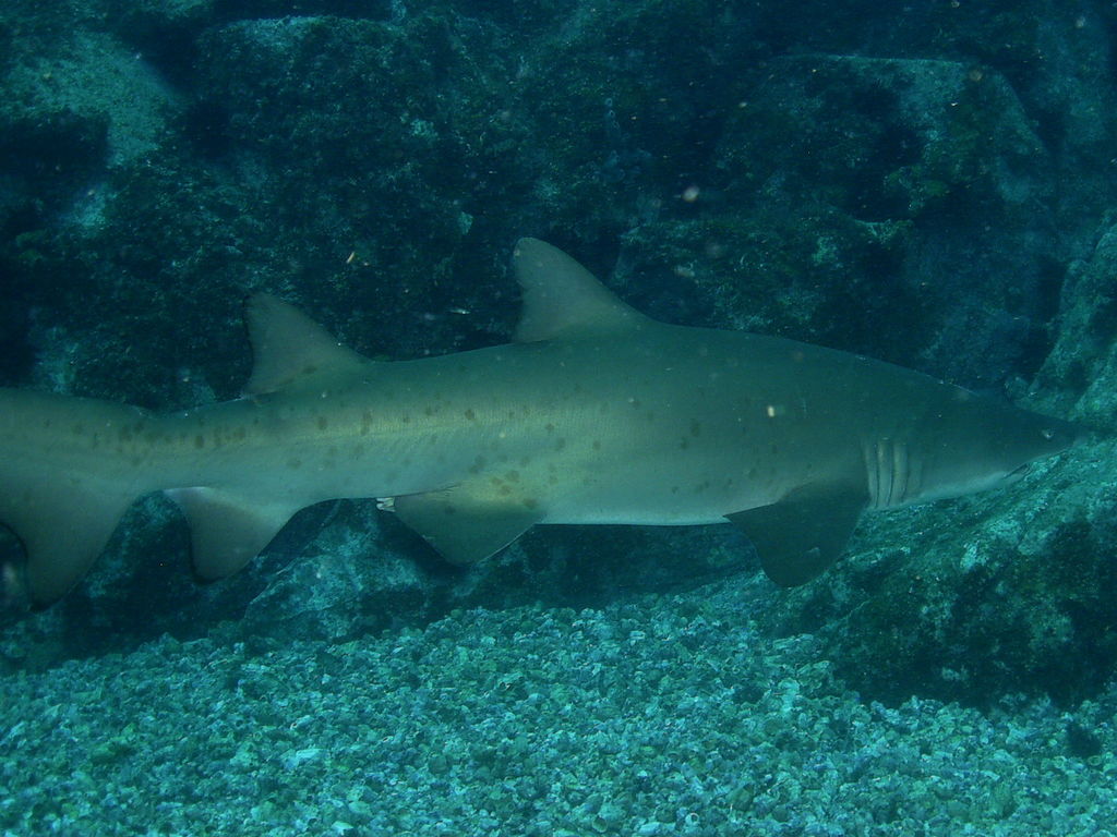 564d403a-bbf0-4508-8b53-0c3a33de83ec