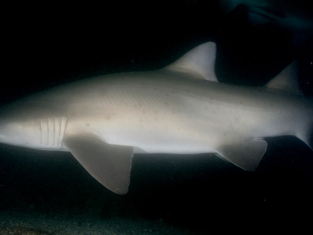 8eb8e328-cabb-4a41-94e0-ded5348ab4ab