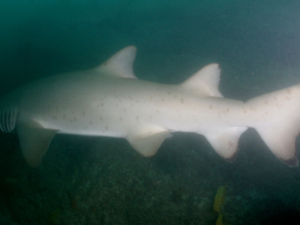 684b7f02-6894-4ed5-be5f-cf25f841aca5