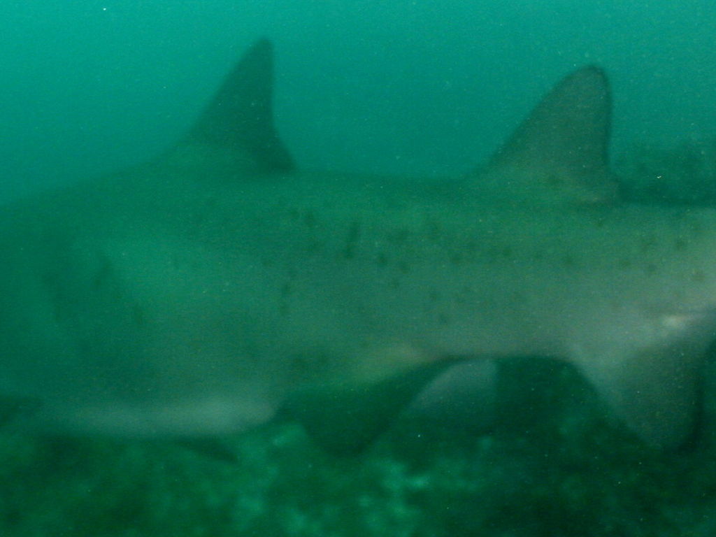 d3de591c-8e55-4ec7-a9b2-de72d25c0de8