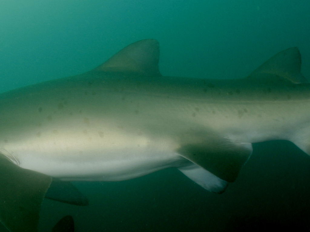 ea18f439-2c88-46d0-b8dc-926cdd2f168f