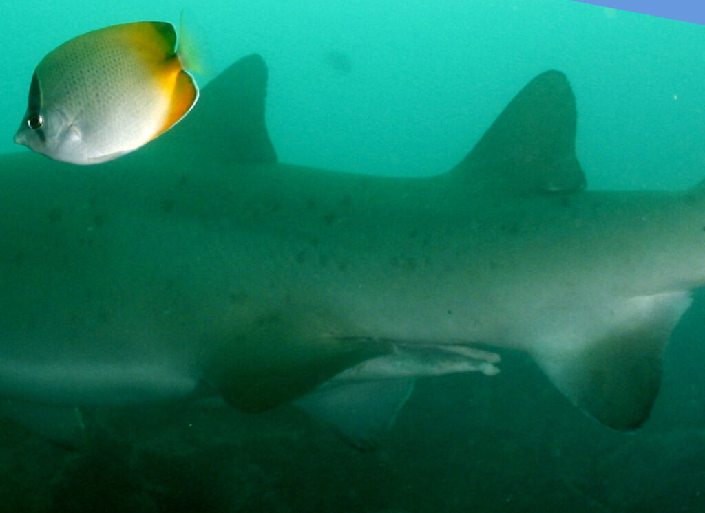 70a5c3e1-783b-4f0b-8512-03f409ecd937