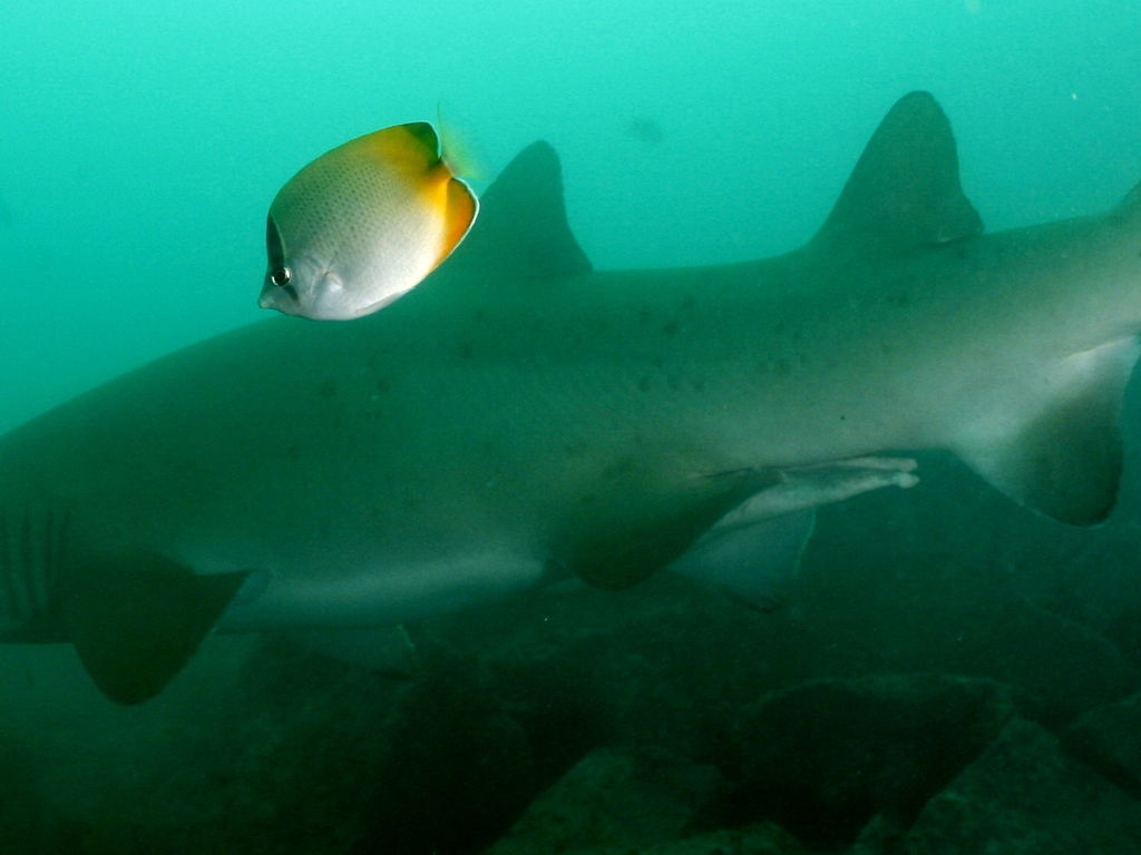 70a5c3e1-783b-4f0b-8512-03f409ecd937