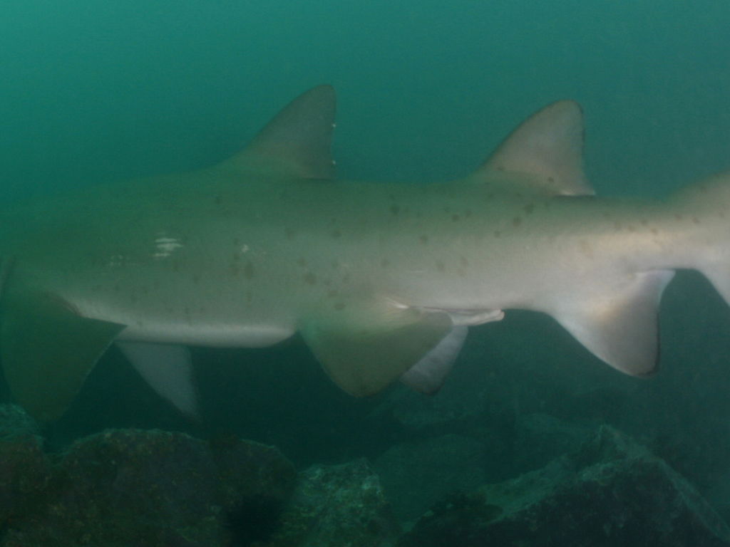 32e36f83-1e38-4cf4-8dcb-573ece78b6af