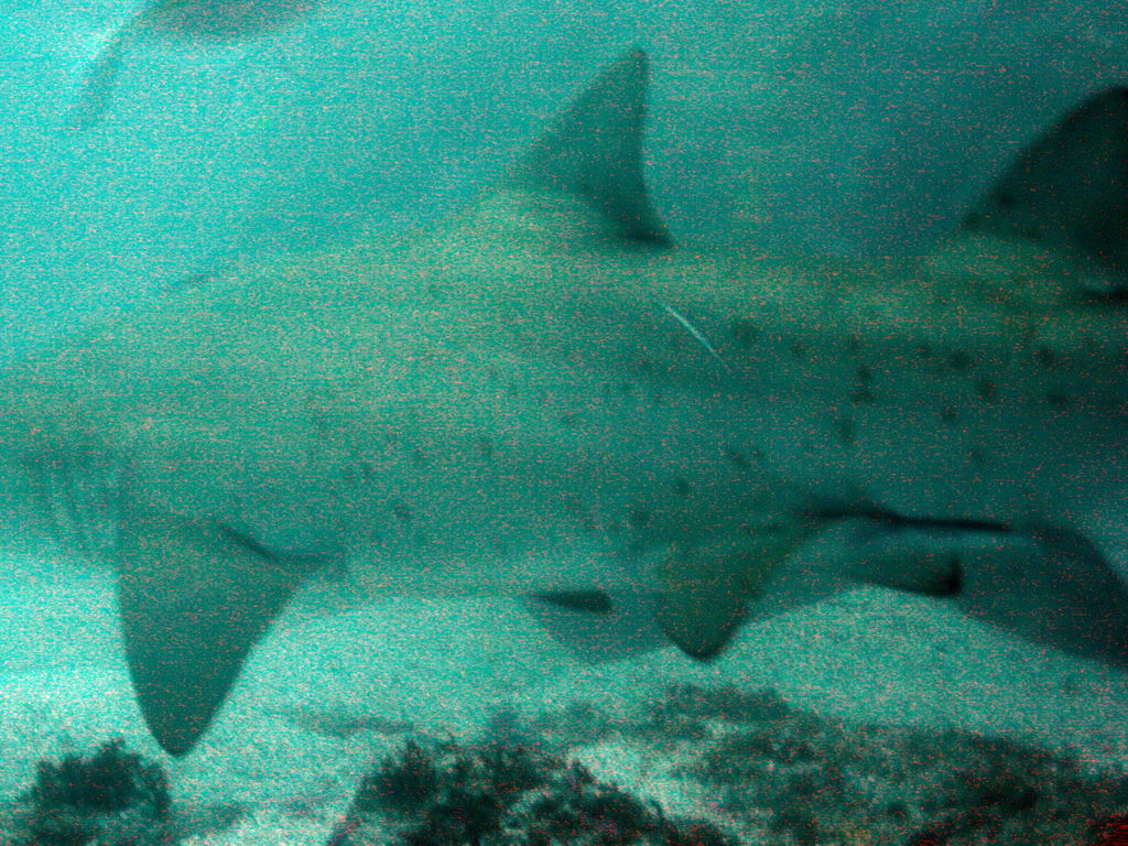 562bdf5c-ac2c-4d81-bad6-6c1dfb6a2ace