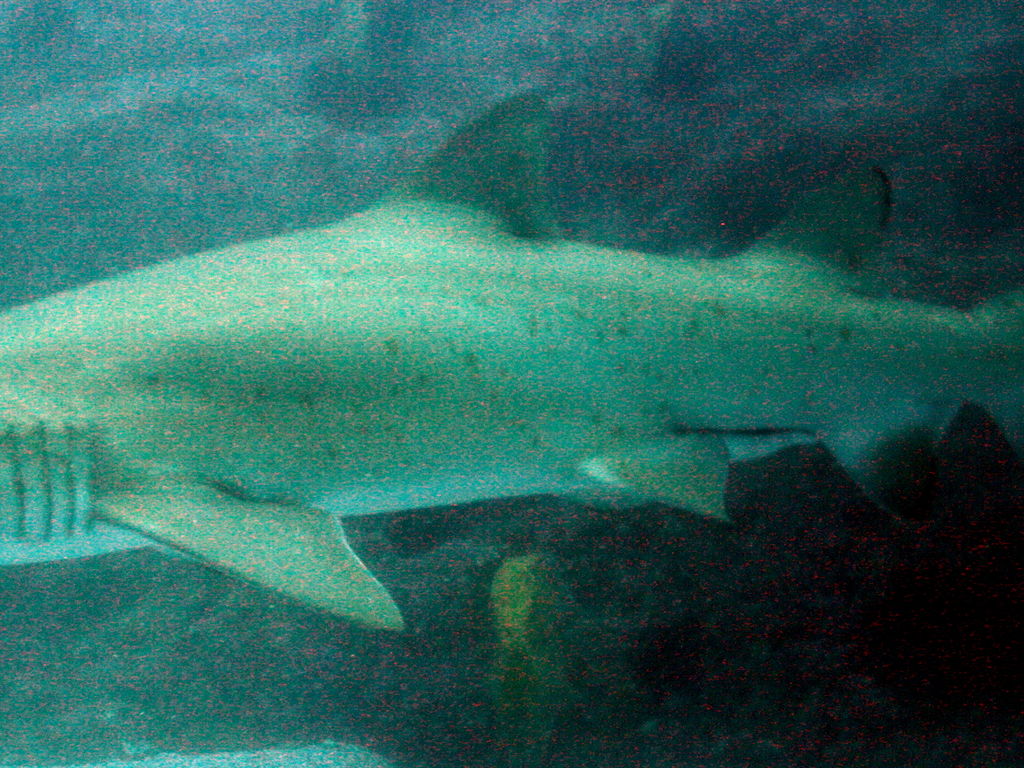 2555b292-be18-4fe3-a1ba-25e9dee61c9d