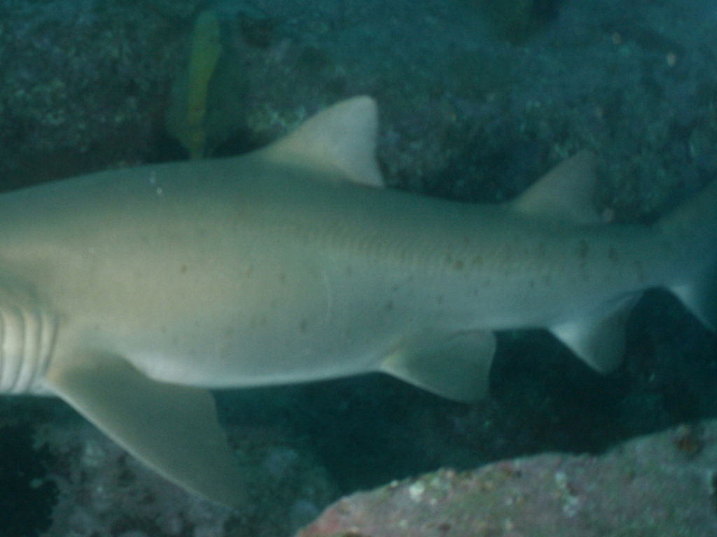 74ea846d-7e62-4781-afa5-79e52ad9338a