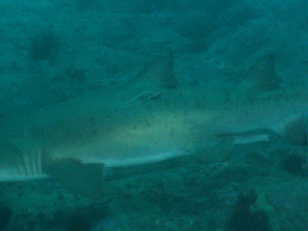 e05fb54e-4a7b-4960-8b2d-b14668b738a7