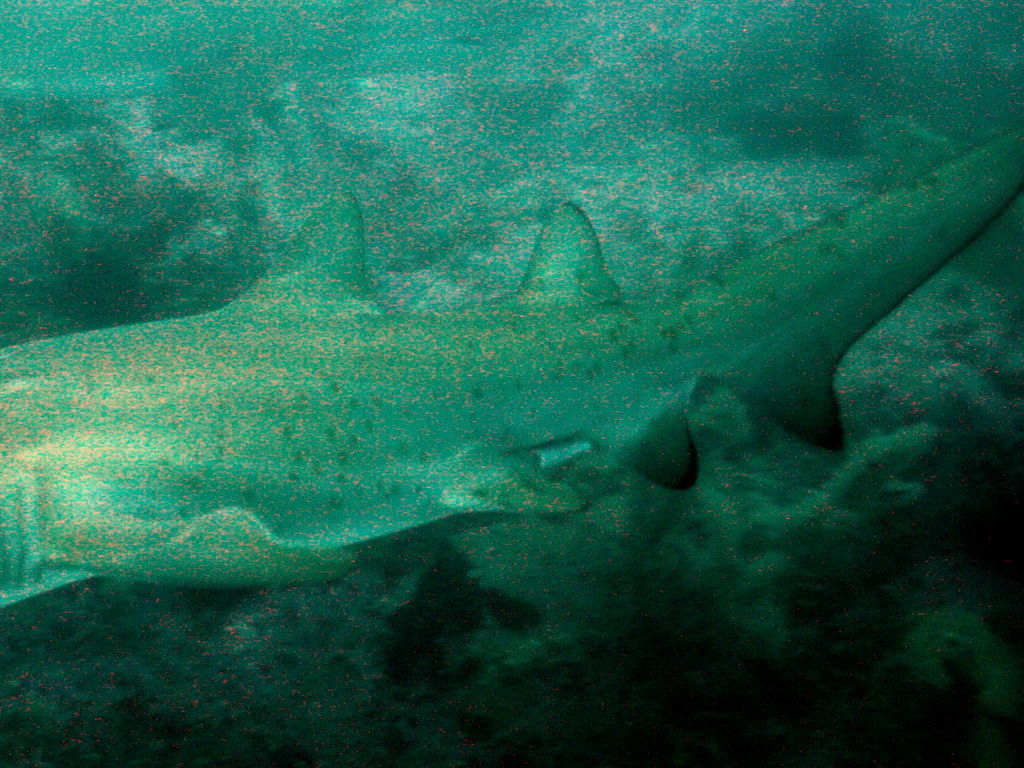 52df40ab-5a9a-47af-81ec-4e7117bc7f5a