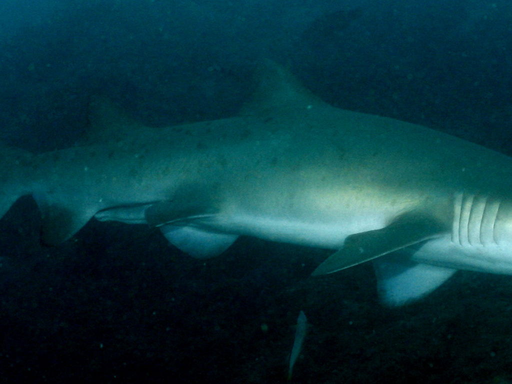 02a1e4f0-5688-4c0e-8ca3-11b87c87a53c