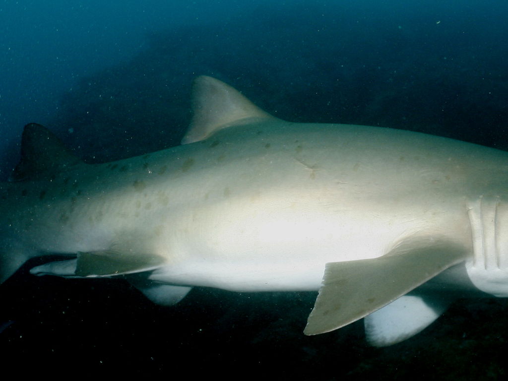 02a1e4f0-5688-4c0e-8ca3-11b87c87a53c