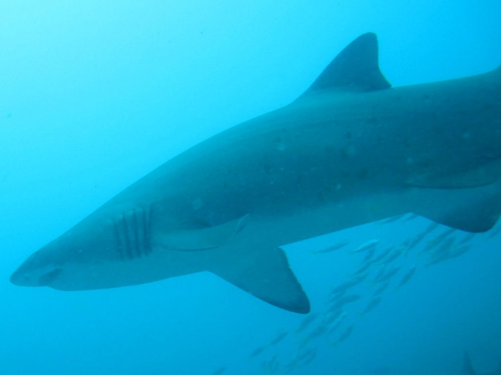 35f51a25-55f6-43d2-92ab-c0a958d22e55