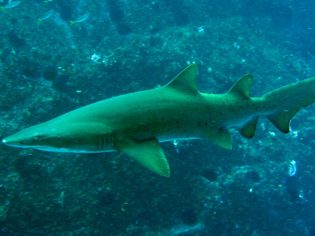 f0429894-efcf-465e-8fd4-c7b038bca8d6