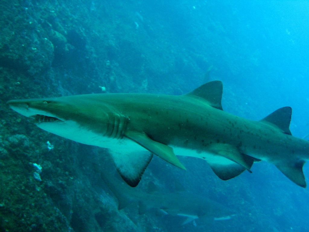 3713b1d6-5b33-46f1-8104-dcba42d31c79