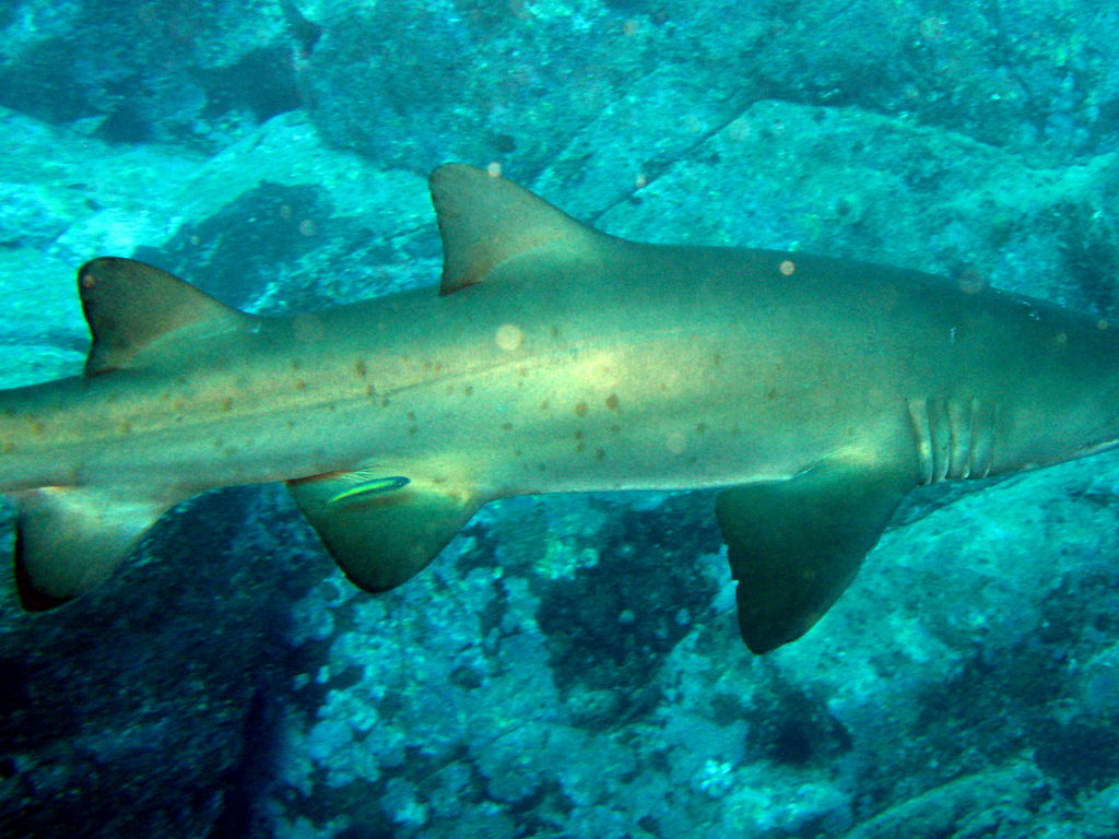 b20676d3-2adf-457e-849d-f80623ad6fc1