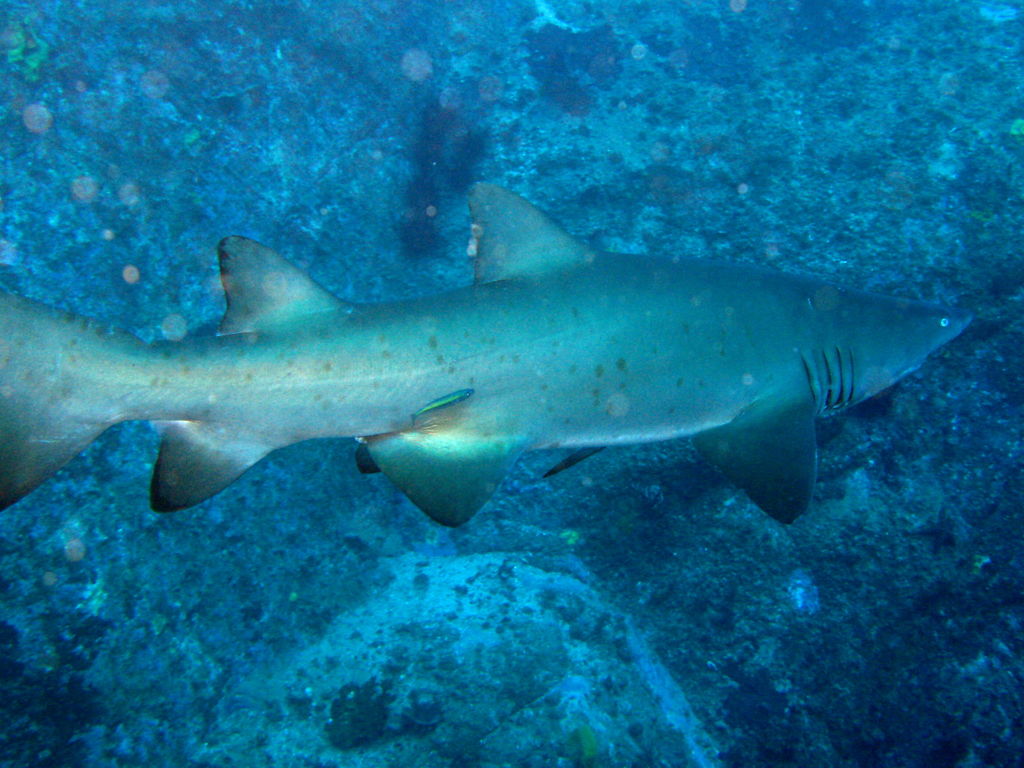 b20676d3-2adf-457e-849d-f80623ad6fc1