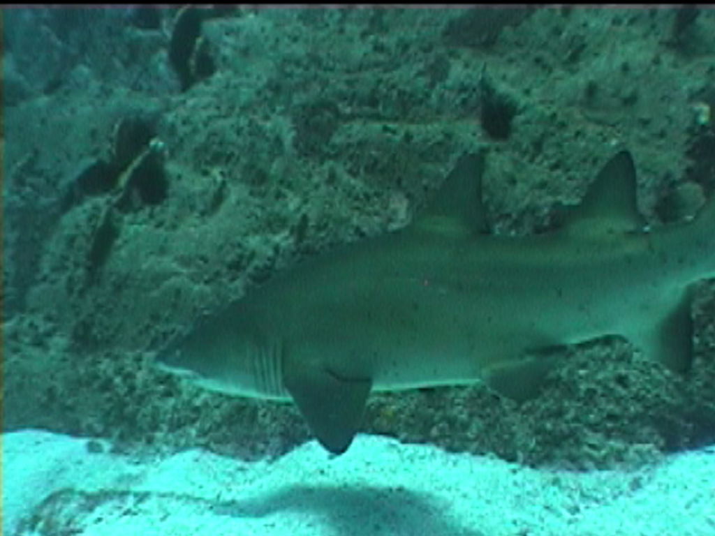 f5179d3a-a121-4f66-a19a-1d97624c250c