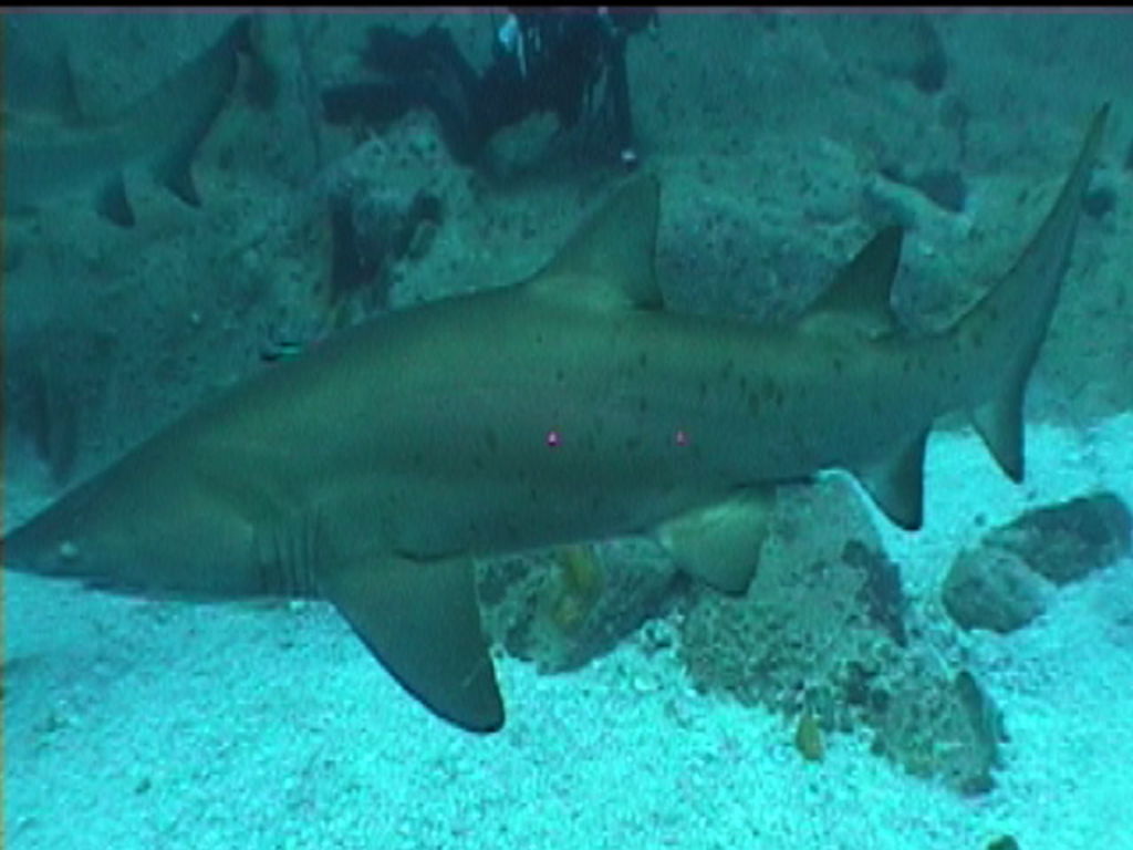 ca266a9b-f100-4c29-a5da-f6f373f7b57a