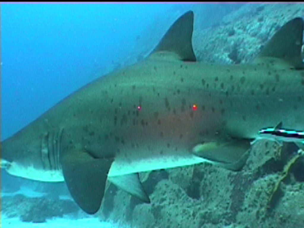 60ceb3f8-ee3d-4a0c-a24d-26321fa3cfab