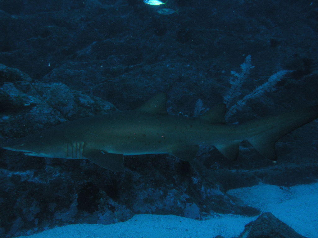 d5917208-2b3a-4b81-a529-b1a83c4e245e