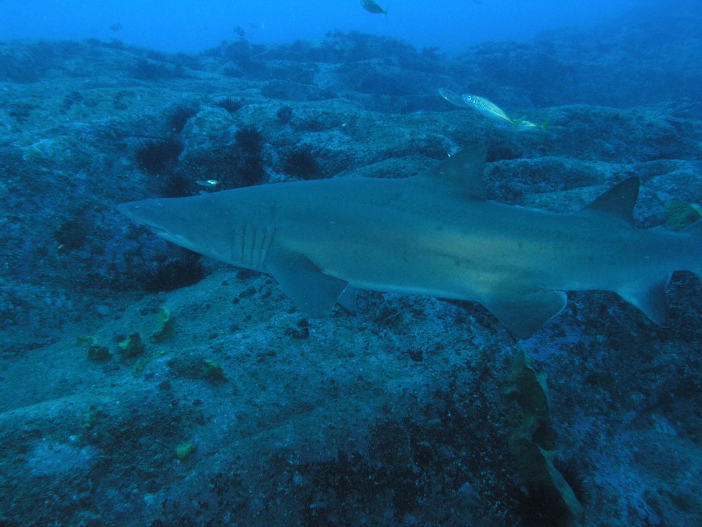 ec7ab748-6754-44b8-a3b2-9eda778486ba