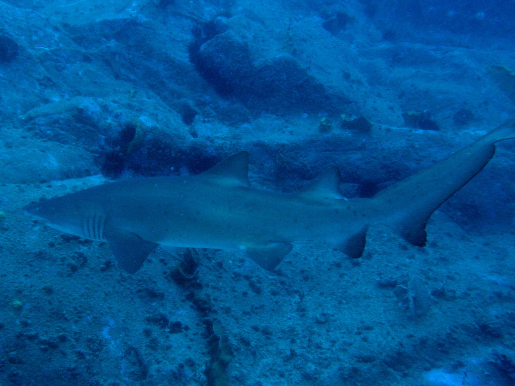 f5179d3a-a121-4f66-a19a-1d97624c250c