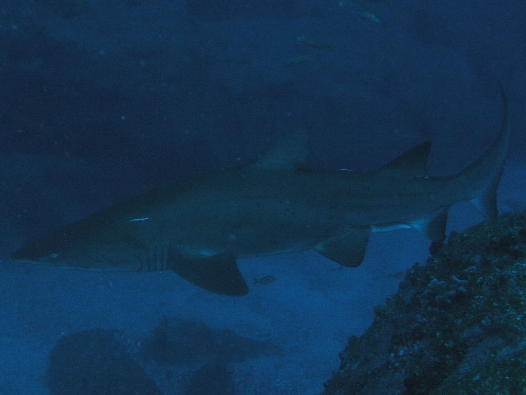 569260c2-dfe8-470a-8df9-4a34706af1e8