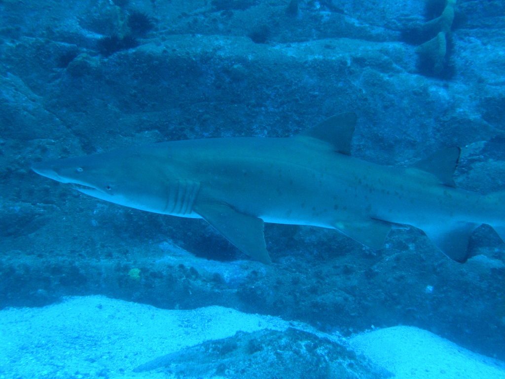 3713b1d6-5b33-46f1-8104-dcba42d31c79