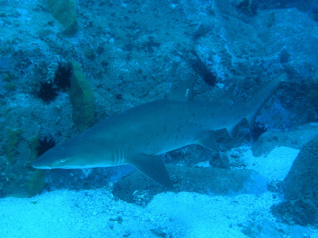 547dea69-824d-4b18-9bf7-a8afb2b97caa